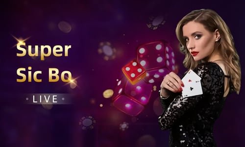 505 bet app