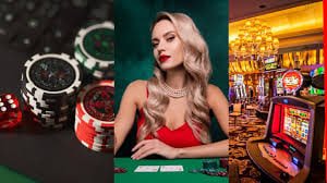 505 bet app 505 bet app